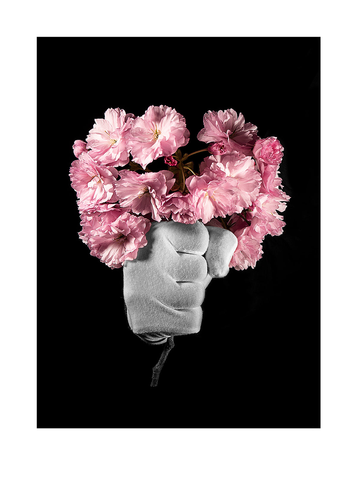 Hands