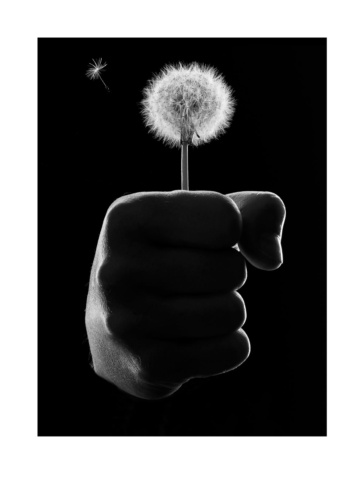 FREEDOM